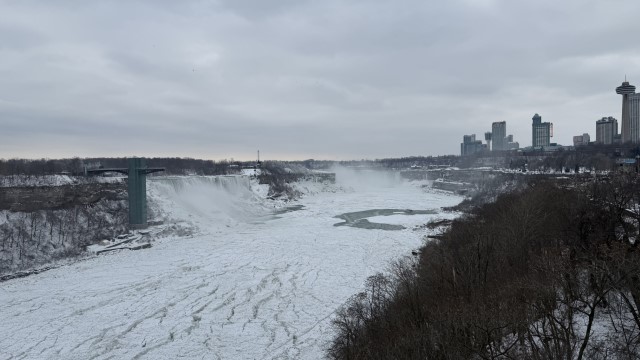 IMG 1531