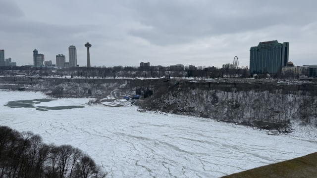 IMG 1540