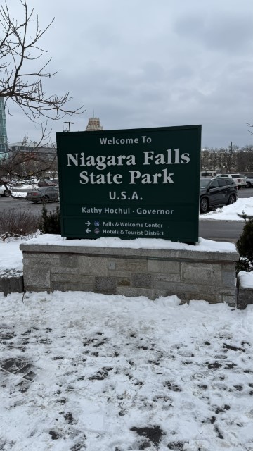 IMG 1541