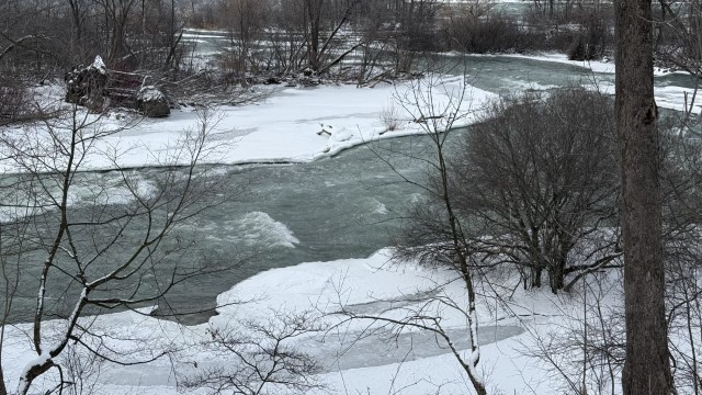 IMG 1580