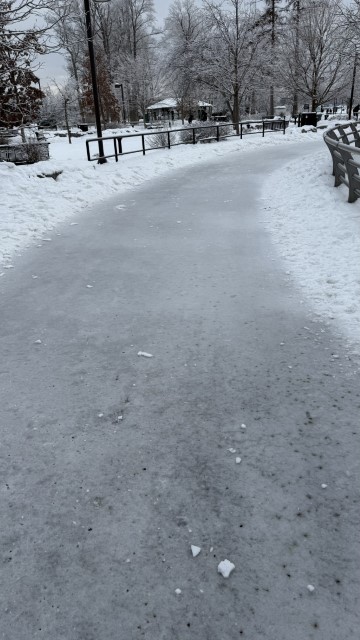 IMG 1600