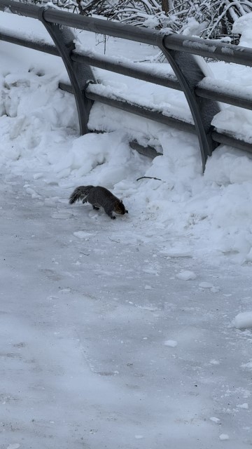 IMG 1661