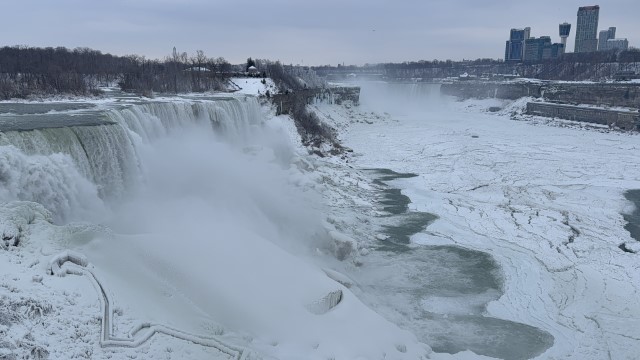 IMG 1710