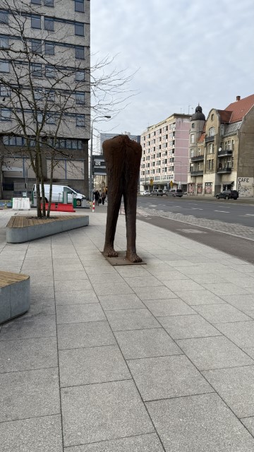 IMG 2359