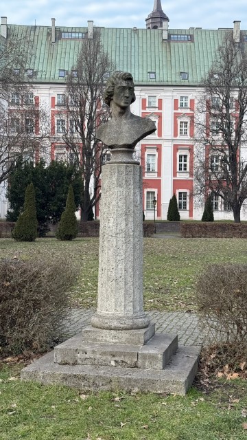IMG 2460