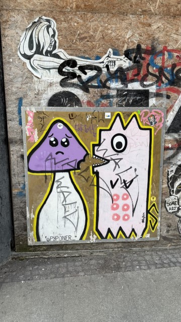 IMG 2503