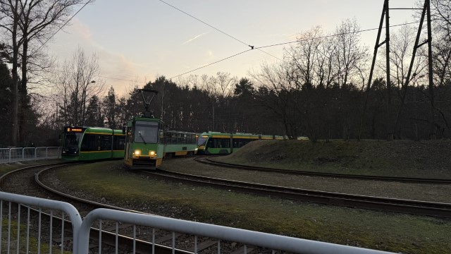 IMG 2533
