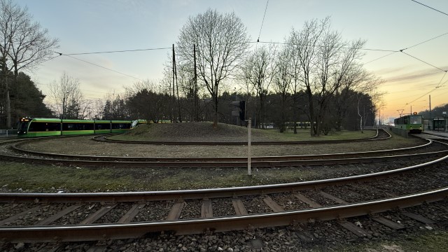 IMG 2538