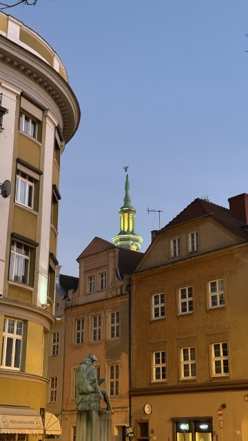 IMG 2553