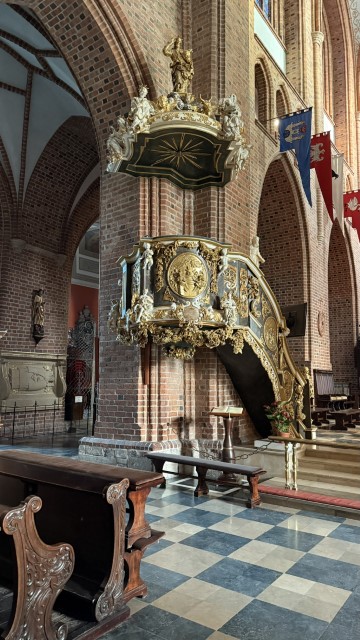 IMG 2617