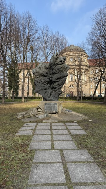 IMG 2707