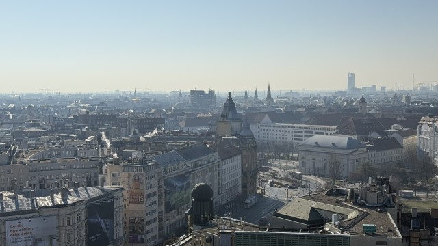 IMG 3264