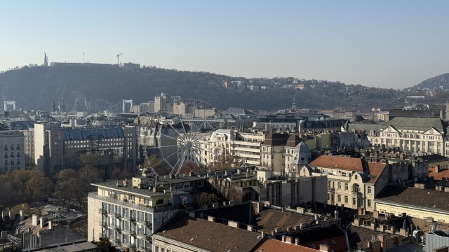 IMG 3270