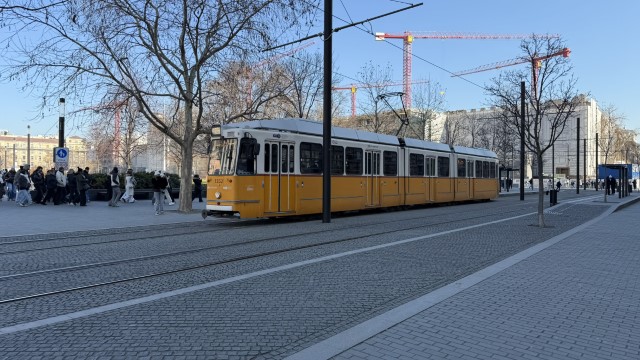 IMG 3374