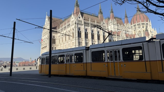 IMG 3375