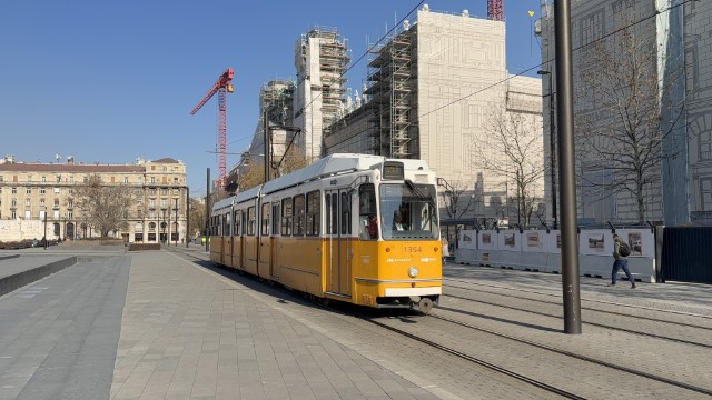 IMG 3389