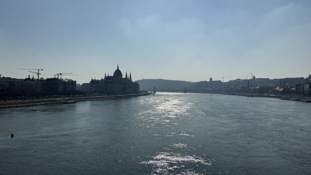 IMG 3441