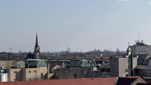 IMG 2938