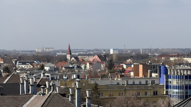 IMG 2960