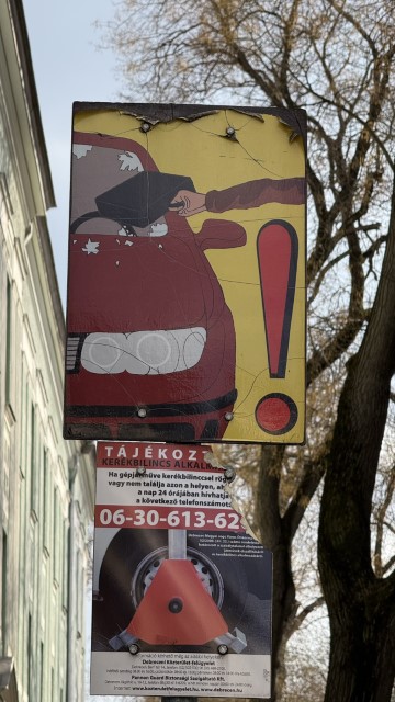 IMG 3064