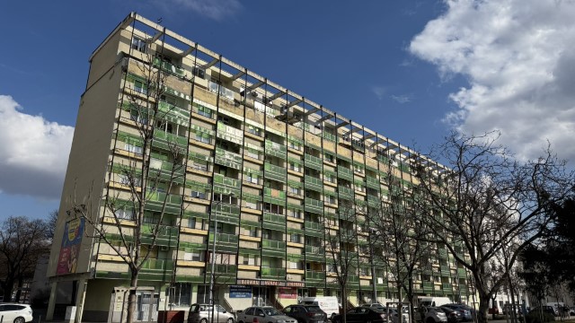 IMG 3075
