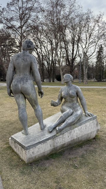 IMG 3113