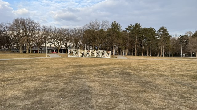 IMG 3117