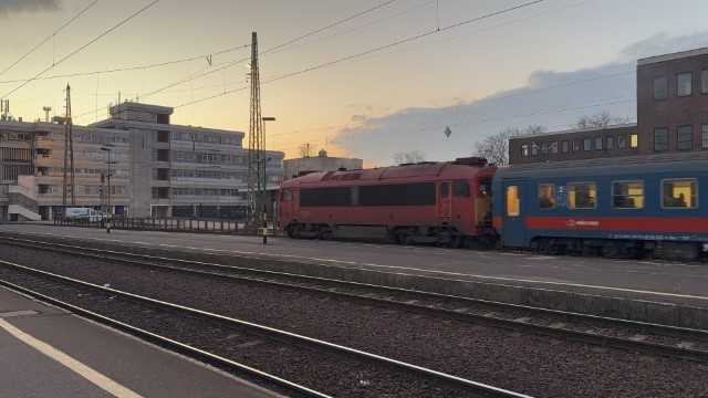 IMG 3143
