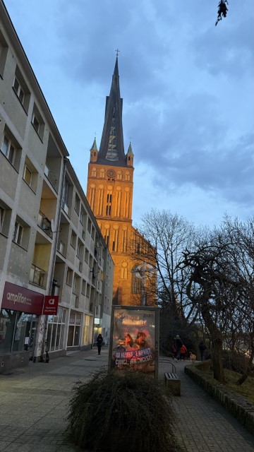 IMG 3654