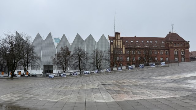 IMG 3724