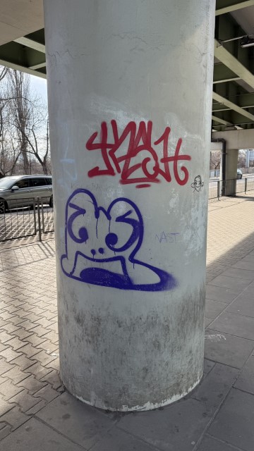 IMG 4388