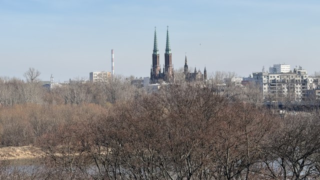 IMG 4453