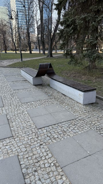 IMG 4524