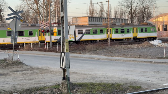 IMG 4557