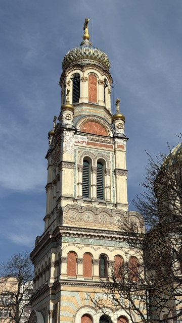 IMG 4631