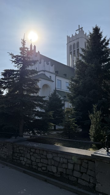 IMG 3940