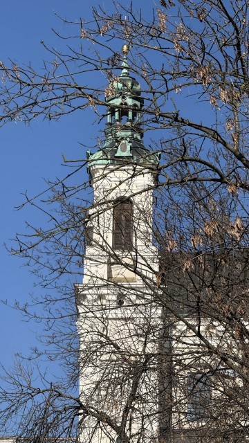 IMG 3988