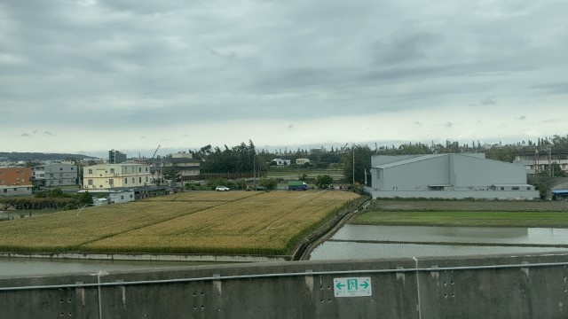 IMG 5846