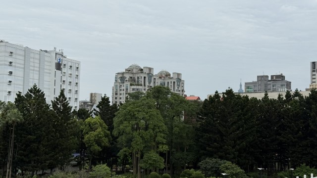 IMG 6339