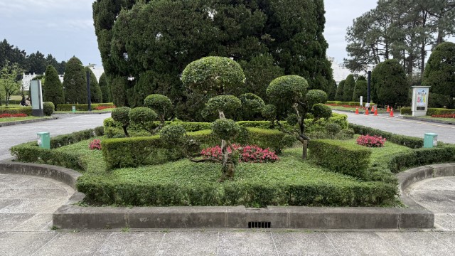 IMG 6350