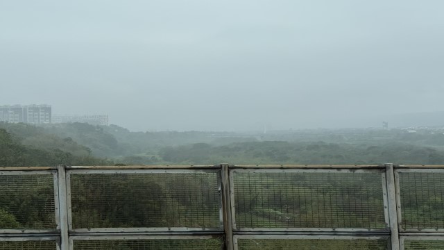 IMG 5533