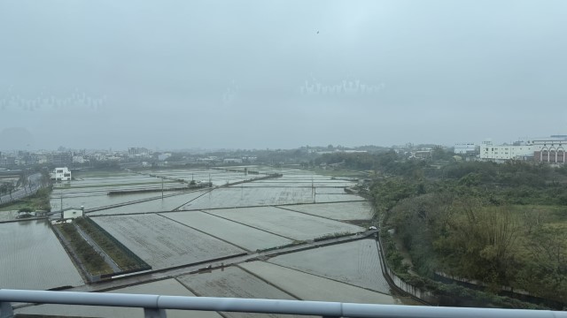 IMG 5541