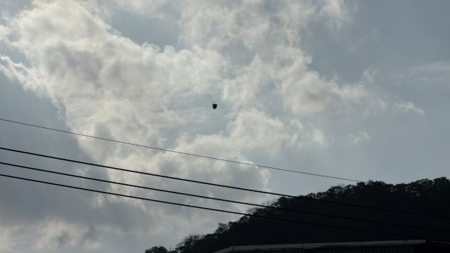 IMG 5238