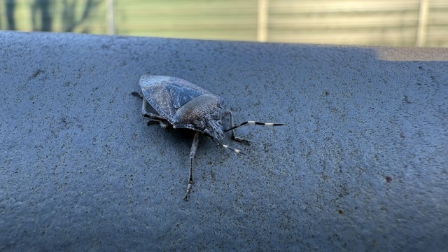 IMG 7193