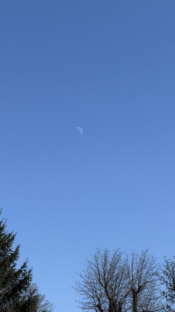 IMG 7220