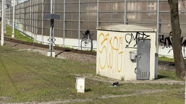 IMG 7242