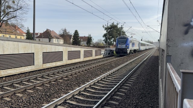 IMG 7260