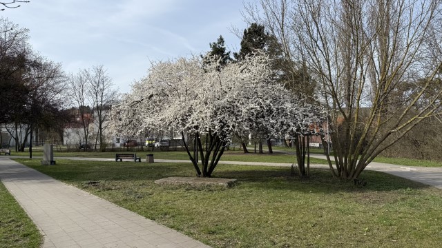 IMG 7263