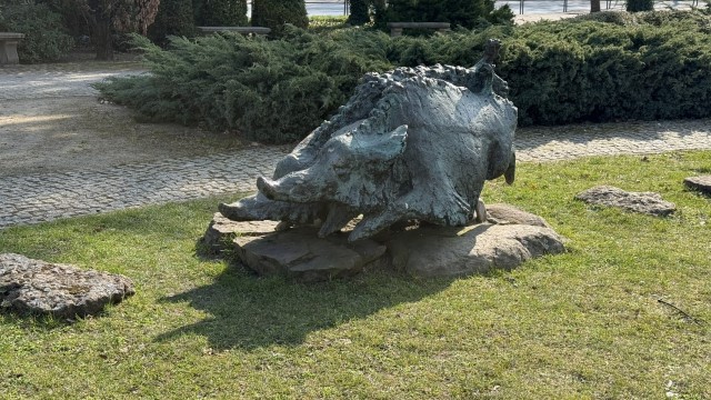 IMG 6779