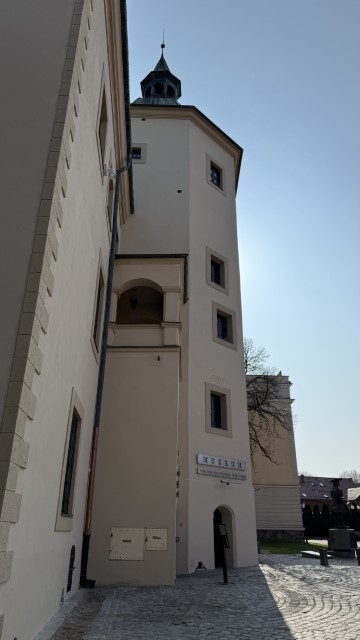 IMG 6803